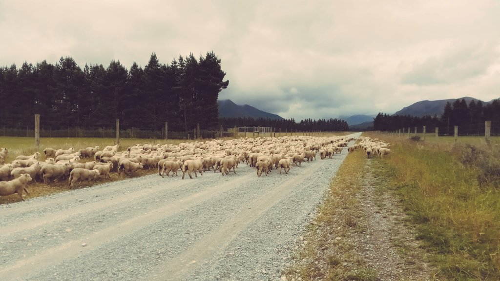 New Zealand 2019/20 Stage 10 – Queenstown to Manapouri