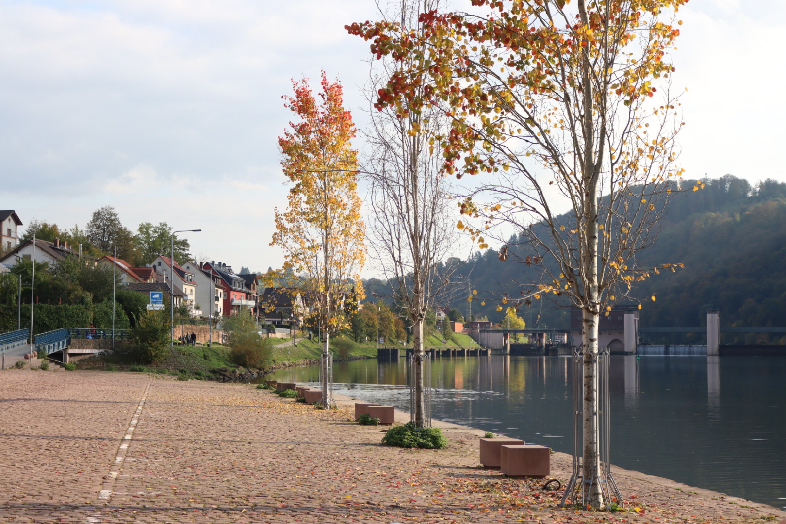 Autumn Tour 2020 Stage 3 – Großheubach to Neckargemünd