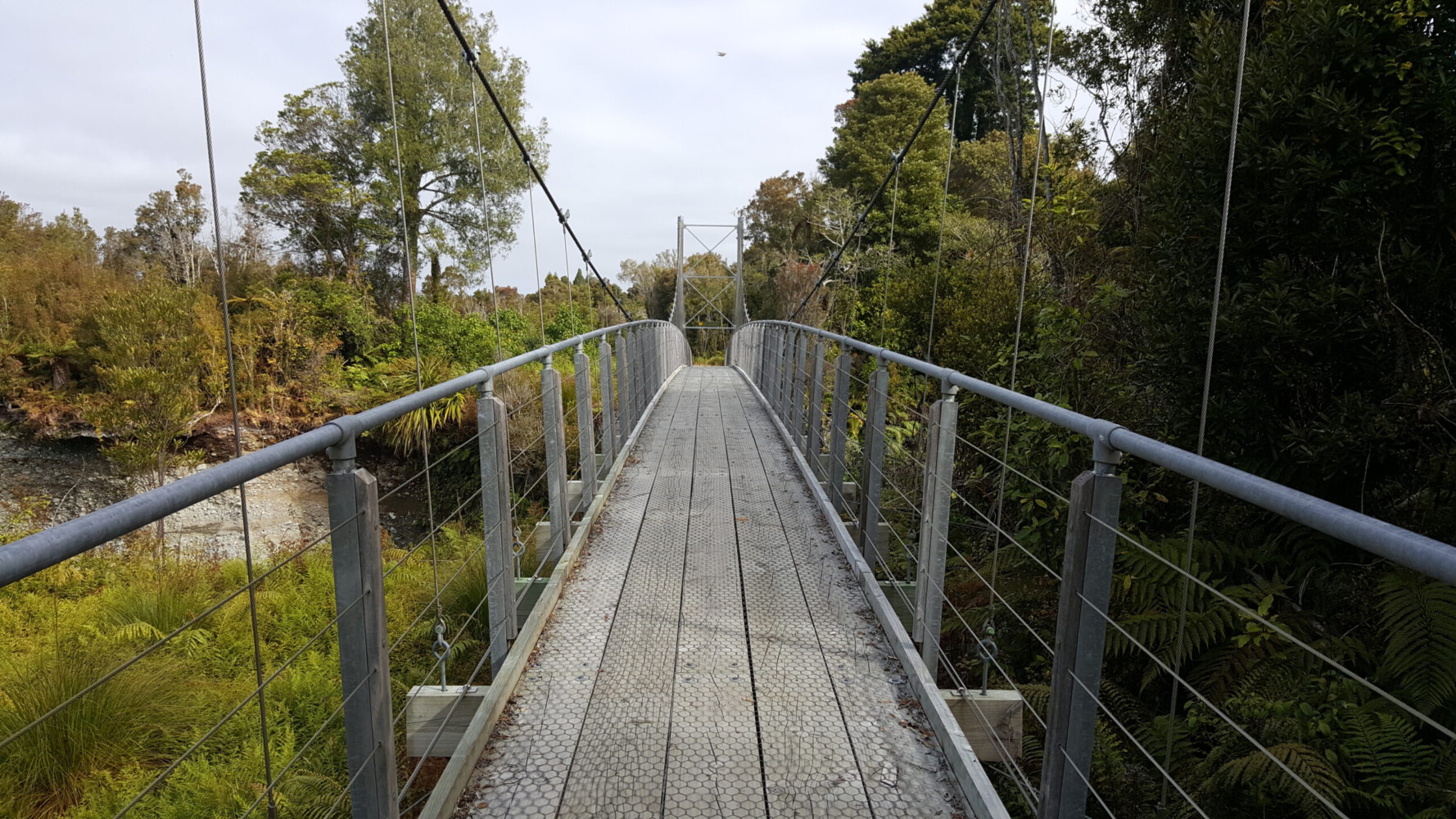 Bridge on the West Coast Wilderness Trail