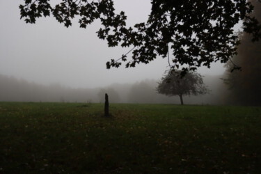 View on foggy forrest near Heppenheim