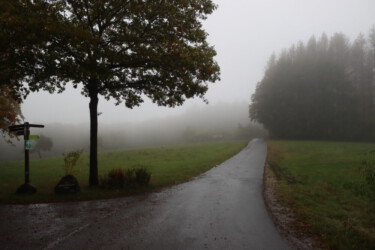 Rain and fog in the forrest near Heppenheim