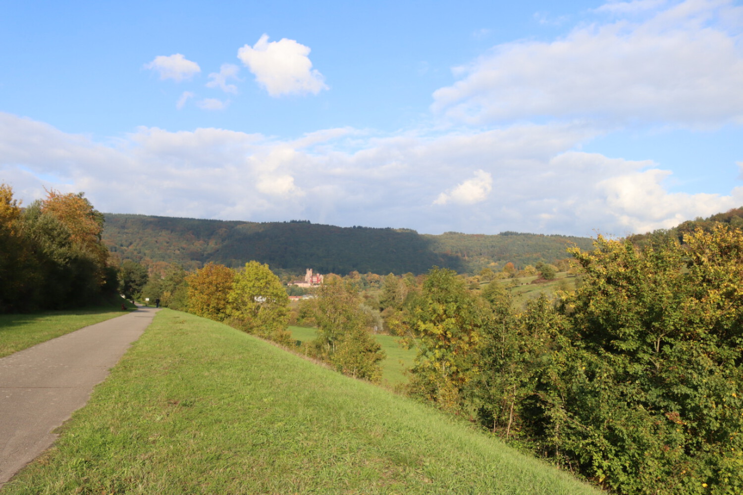 View on Neckarsteinach with castle.