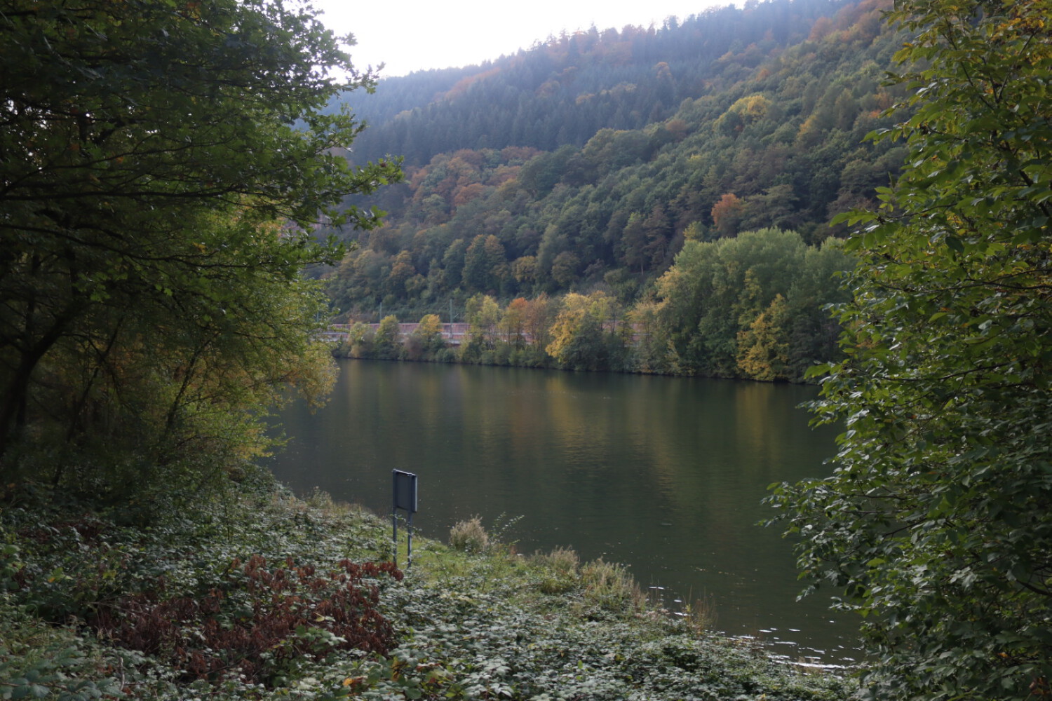 View at the river Neckar from camping Haide