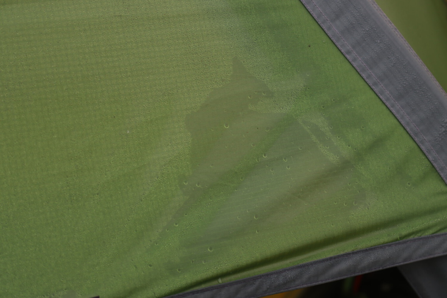 Our wet tent after a cold night