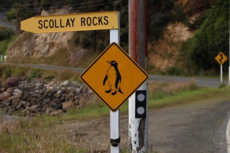 Penguin sign on Steward island.