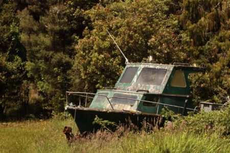 A broken boat in the woods of Stewart island.