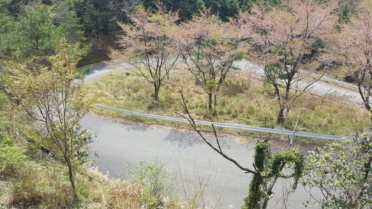 Serpentine roads on Shikoku island.