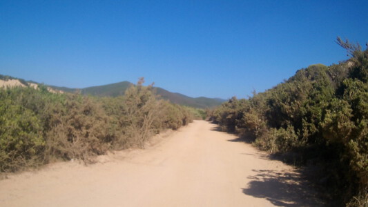 Sandy way to our camping ground from Dune di Piscinas.