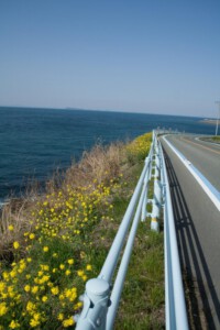 Street at the coastline in the direction of Matsuyama.