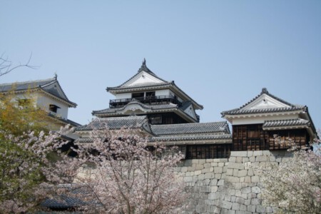 Castle of Matsuyama.