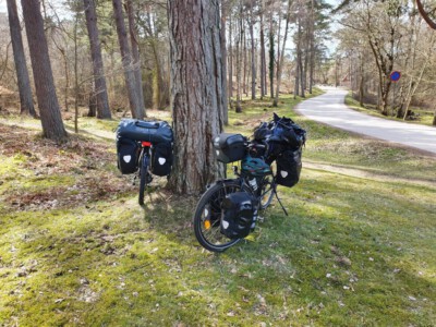 Stop at the forrest - bikes are resting near a tree.