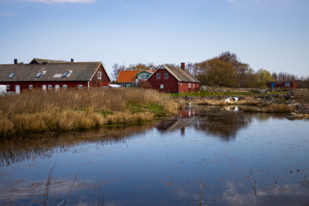 A pond and some farm houses shortly after the start from Falkenberg.