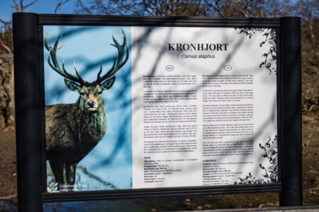 No animals here - so take a picture of the information poster - Slottskogen park in Göteborg.