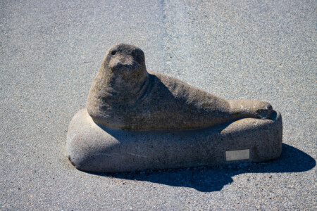A seals figure from stone.