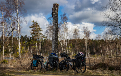Bikes at the nature reserve Tingvallamossen.