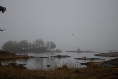 Mystic fog over lake Vänern near Mellerud.