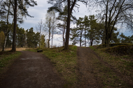 Nice cycle path through the forest right after Vänersborg.