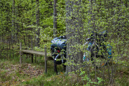 Short break in the woods - Alex´ bike is hiding behind the tree.