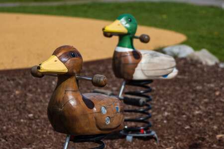 Cute ducks made out of wood in Askersund.