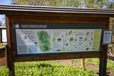 Snavlunda nature reserve information table - a lot of plants and animals live here.