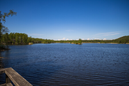 Lake at the nature reserve.