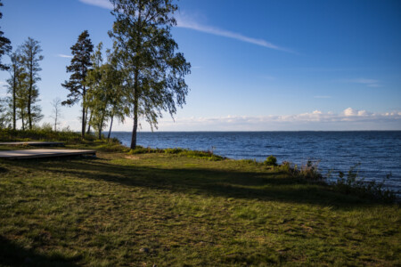 View from the tent at the campsite in Fiskeboda.