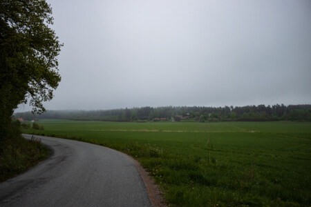 Foggy start in Sundbyholm.