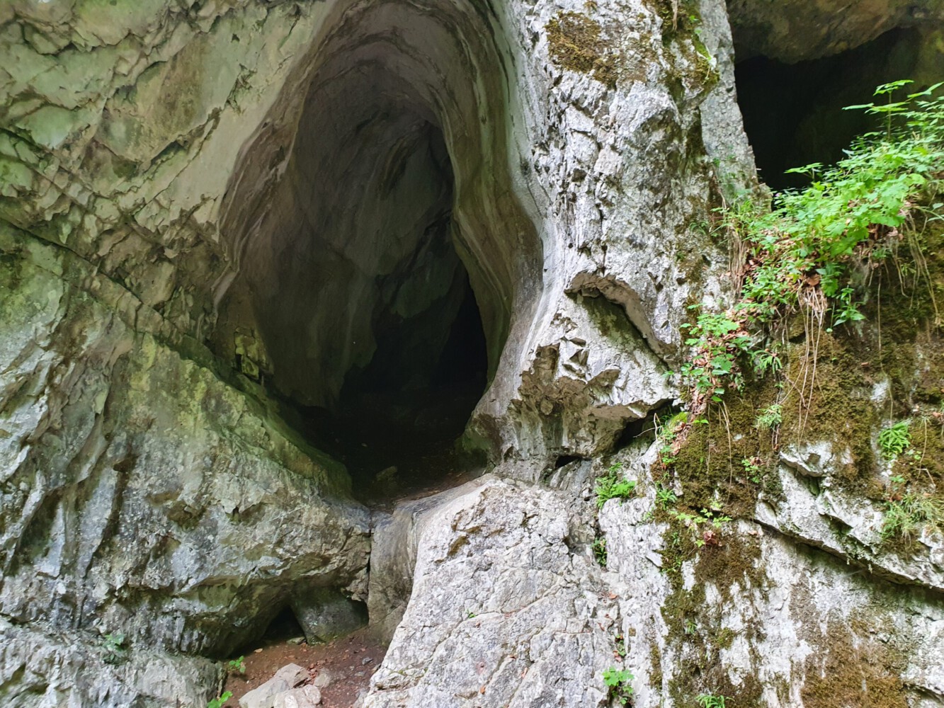 Karst caves along the way down to Brno.