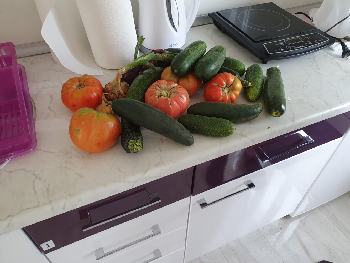 Vegetables we got from our host at the lake Ramsko jezero.
