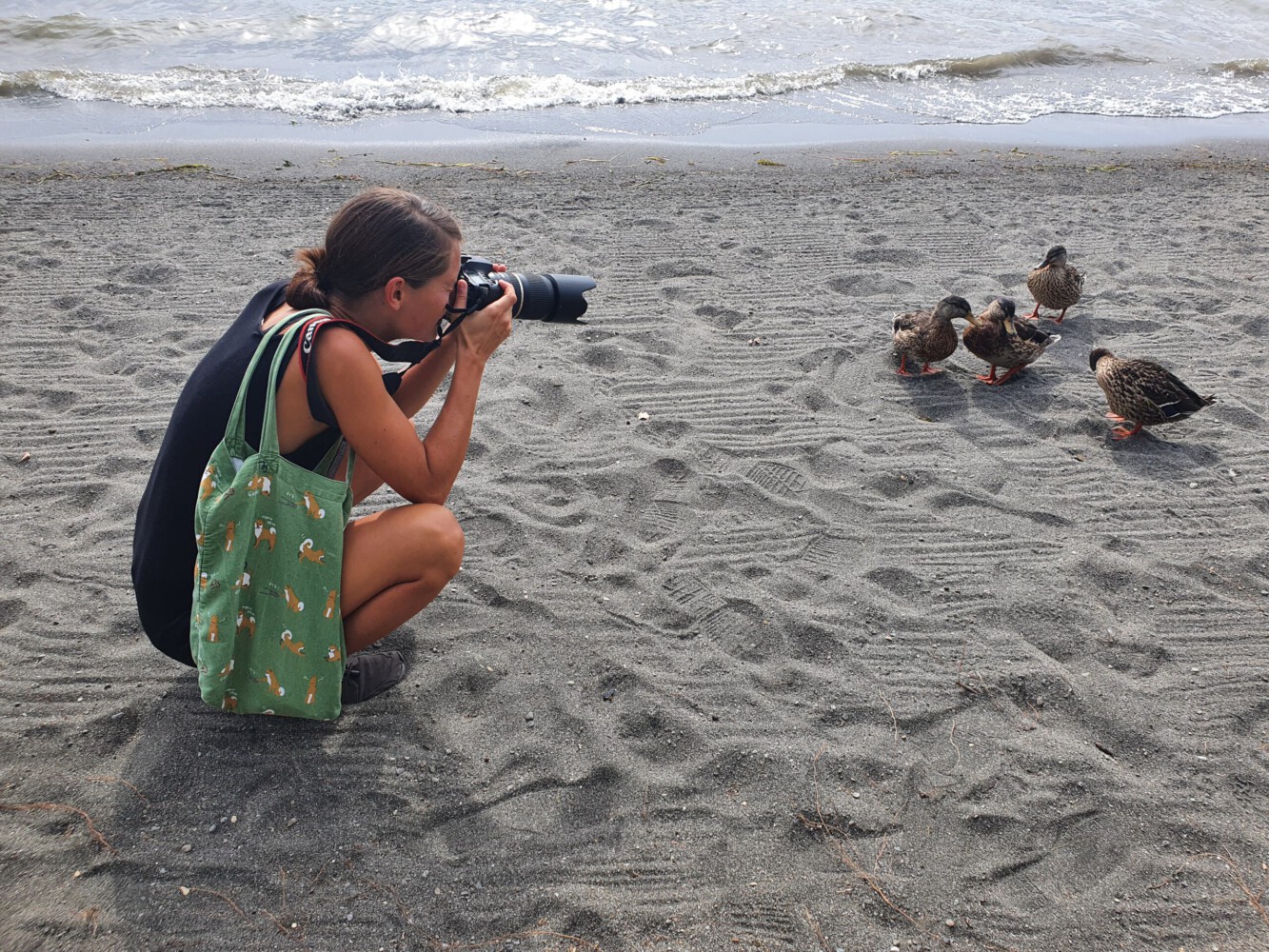 Alina taking photos from the curious ducks.